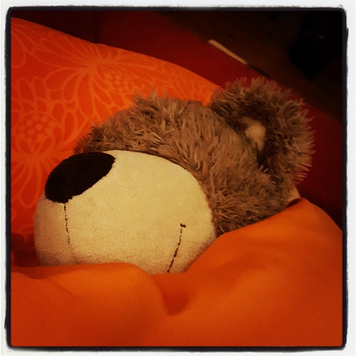 schlafender Teddy